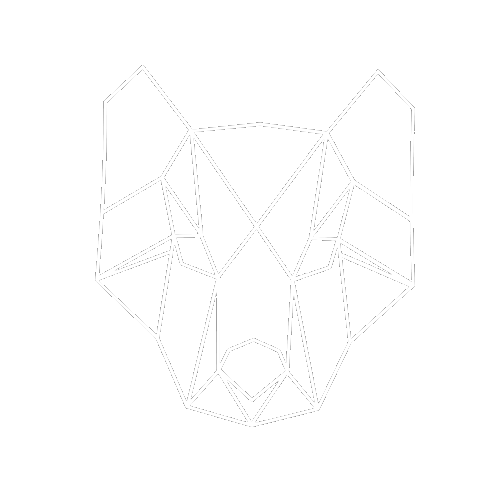 /dev/stp Web Beginner Training